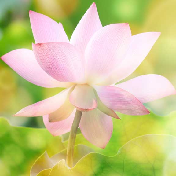 spiritual-psychic-reading