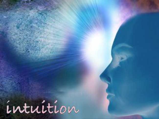 Intuition and Intelligence